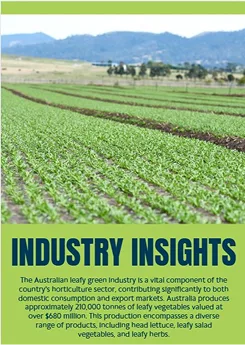 Industry Insight 